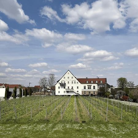 Apartament Weinzeit13 Neustadt an der Weinstraße Zewnętrze zdjęcie