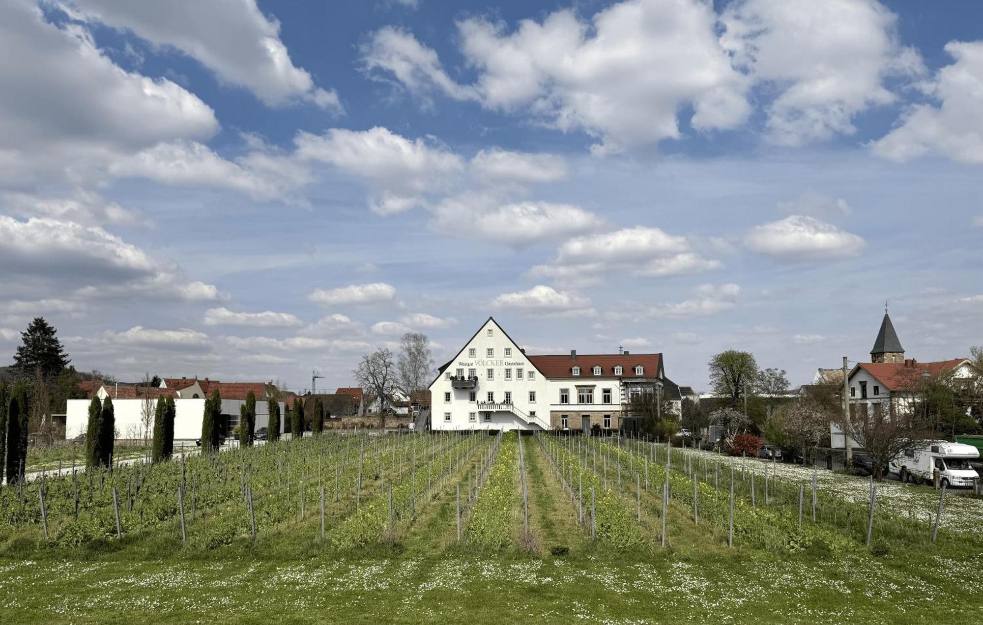 Apartament Weinzeit13 Neustadt an der Weinstraße Zewnętrze zdjęcie